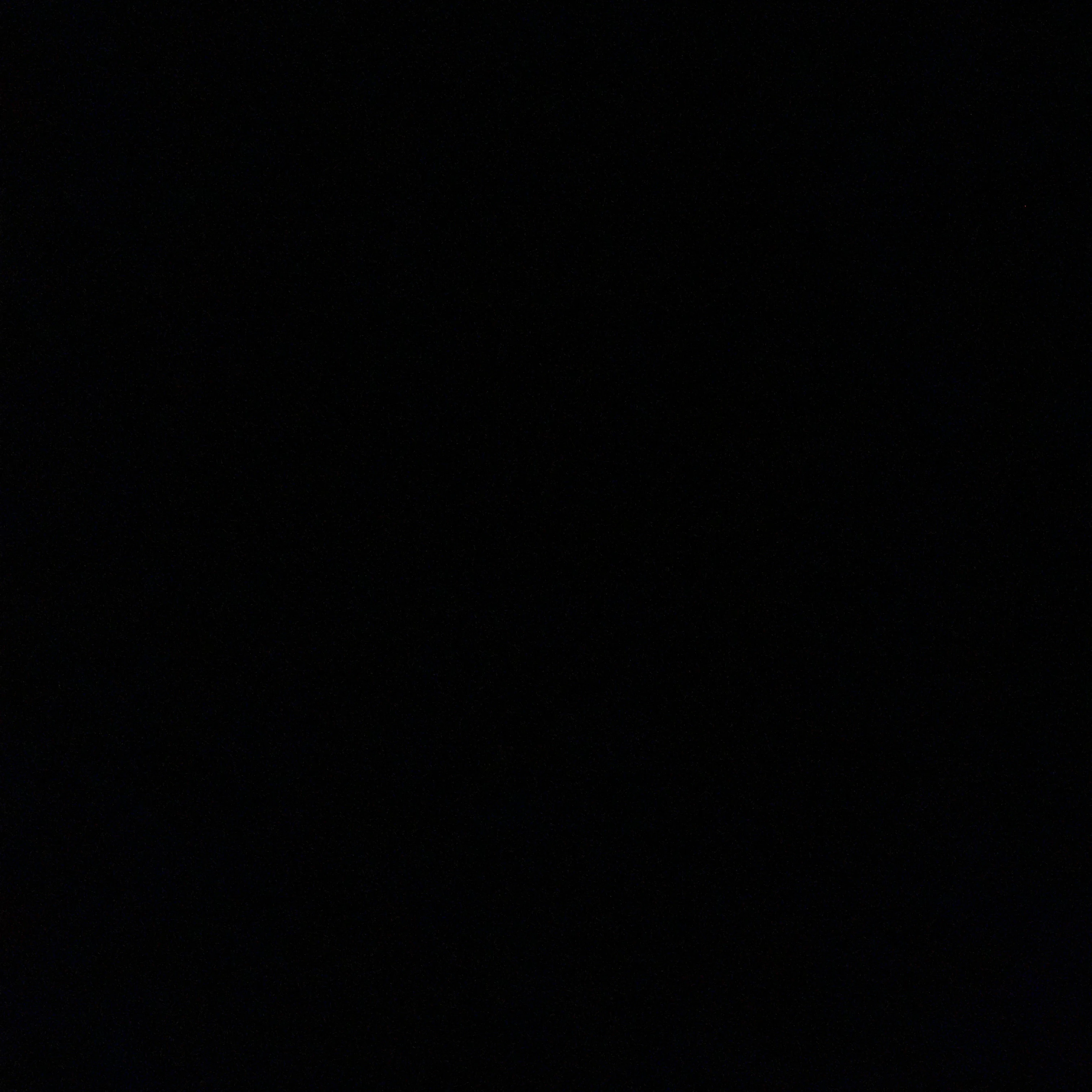 등장인물