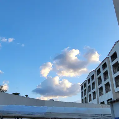 Profile image of 잠뜰