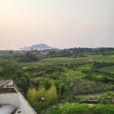 Profile image of 공룡