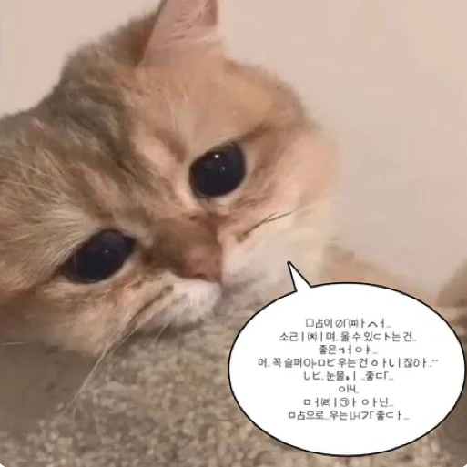 류