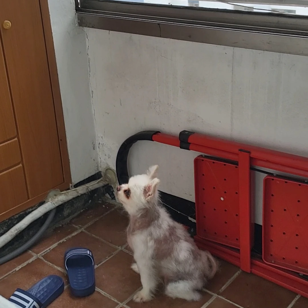 힌
