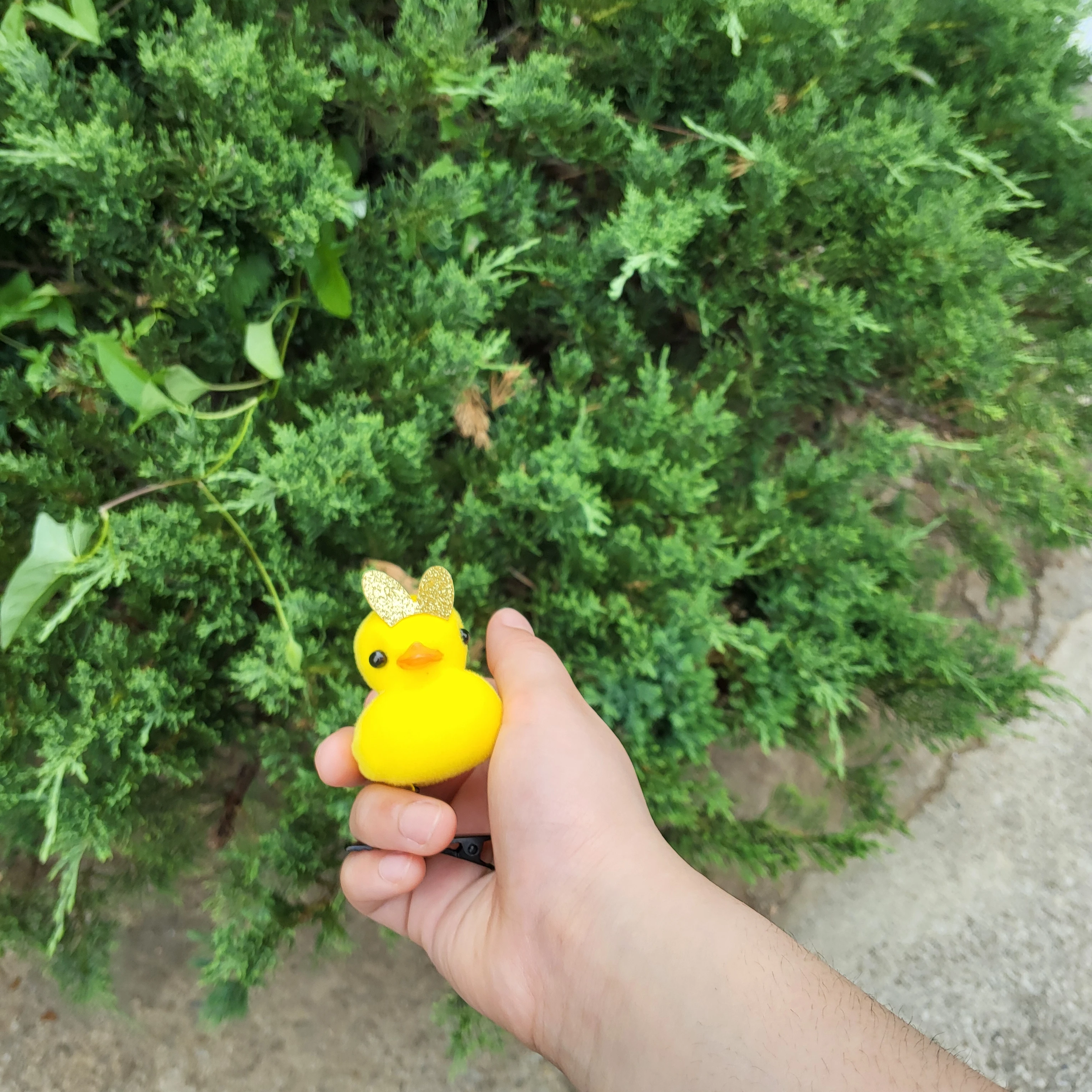 밀