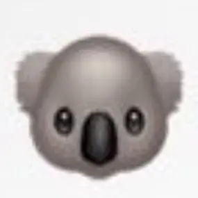 Profile image of ADAM