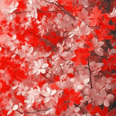 Profile image of 라더