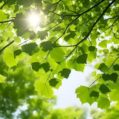 Profile image of 공경장