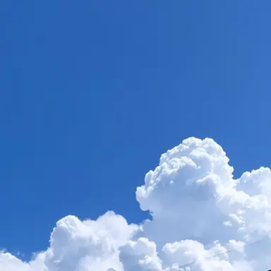 Profile image of 잠경위