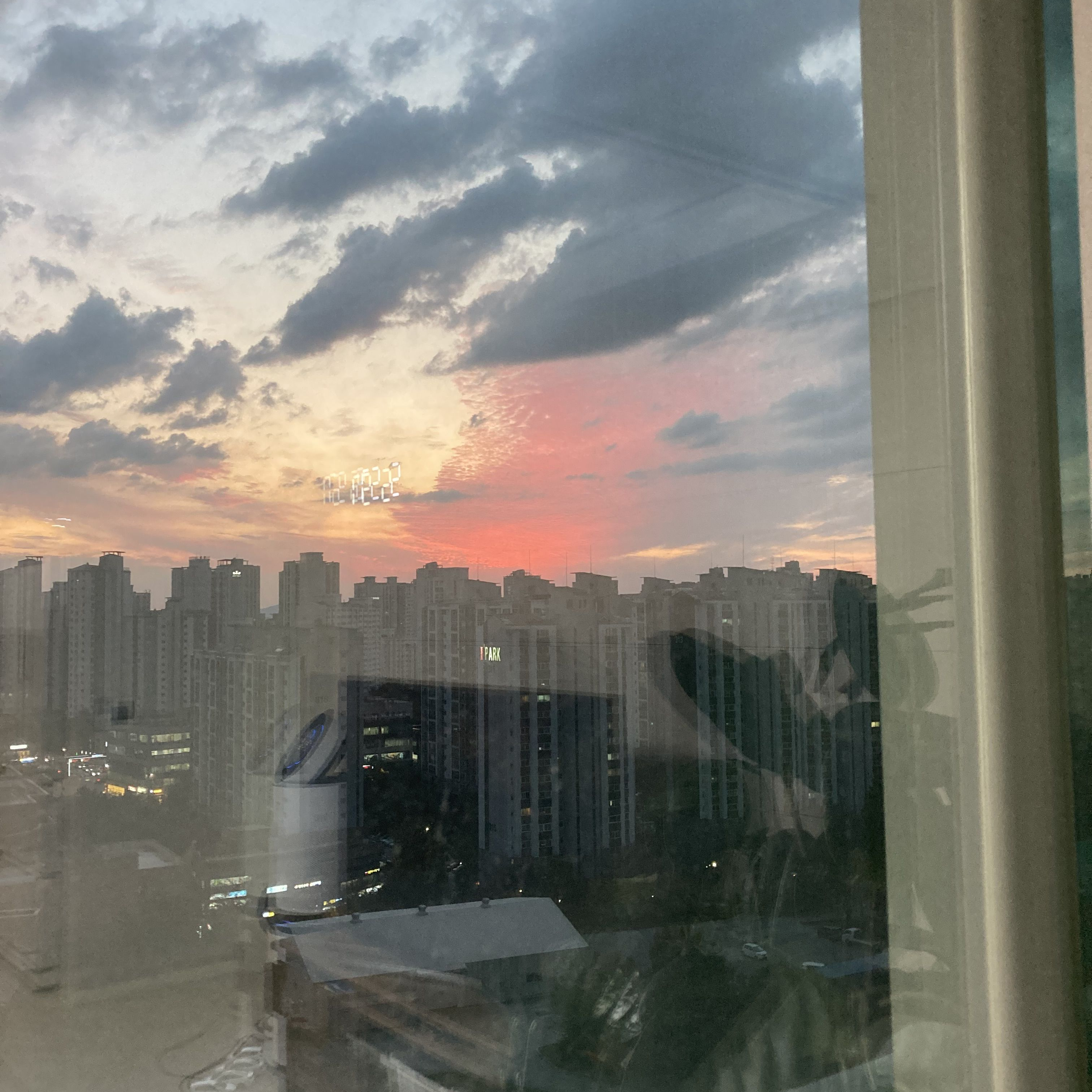 여우가 오비스트에 들어왔다... 대표 이미지