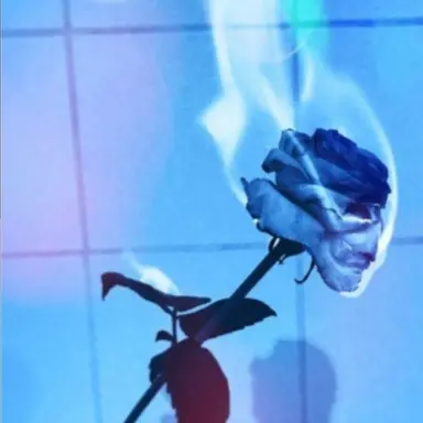 Profile image of 벨키