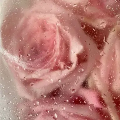 Profile image of 밥풀