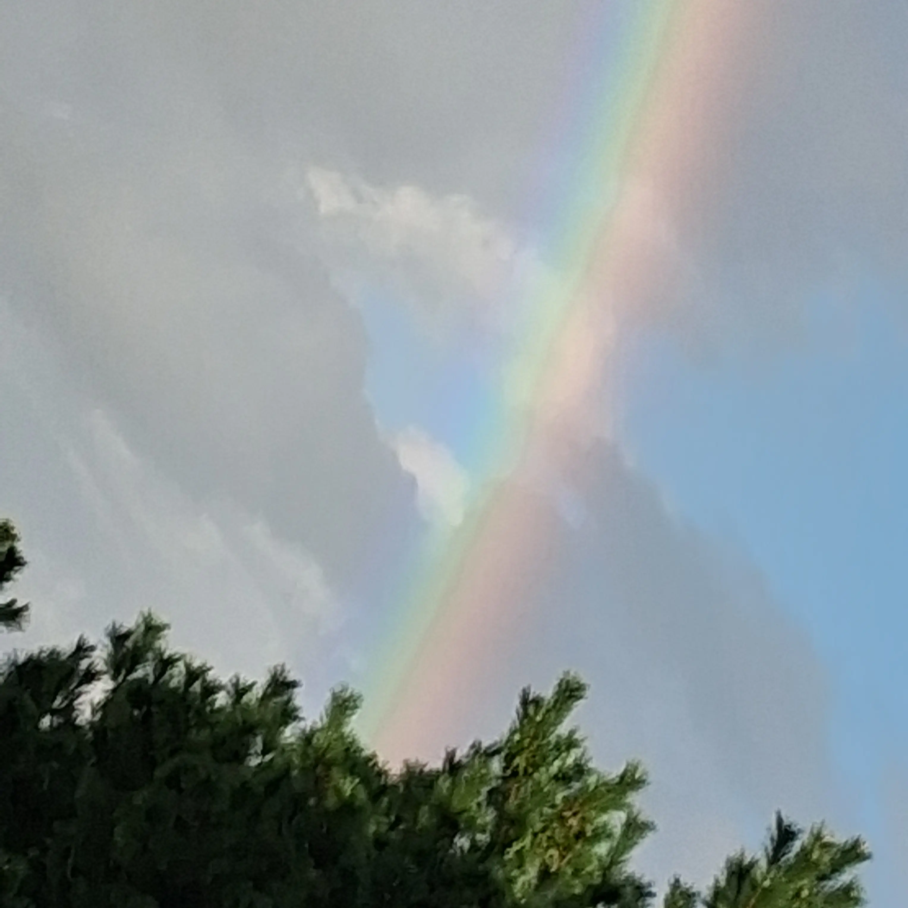 IdleChoke8321의 동물인간 고고프렌즈학교