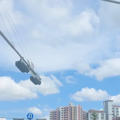 Profile image of 공룡