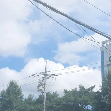 Profile image of 덕개