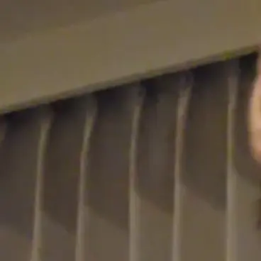 UniqueTear4049의 ♪