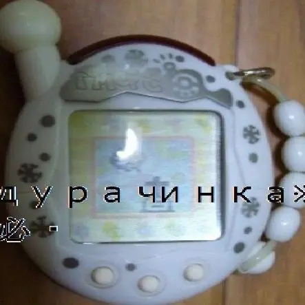 W4txnveev의 @
