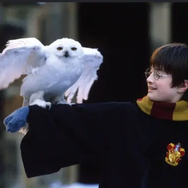 Profile image of Harry potter