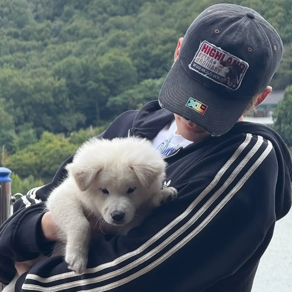 SheerFlea0017의 성한빈