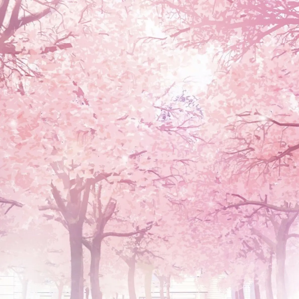 serene_bl의 幼馴染。