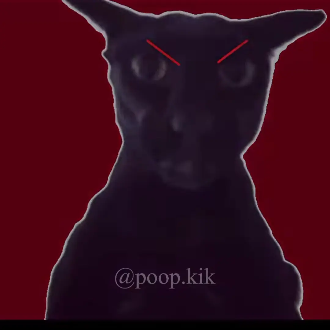tkdkrgksfofl의 평범한 일요일 아침이였어...