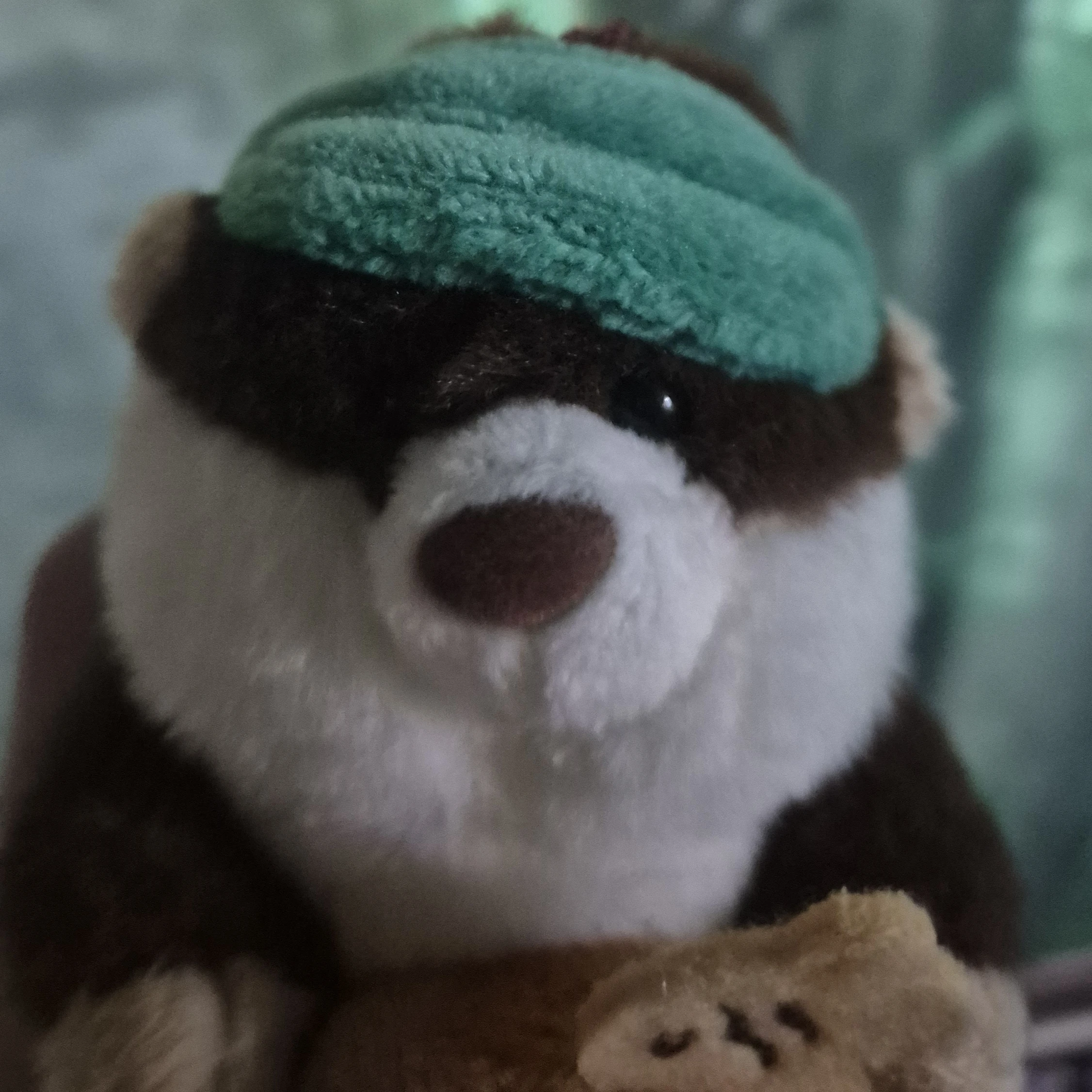 코코
