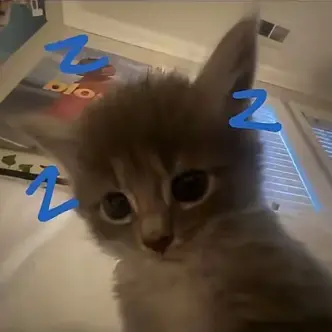 Profile image of 김규빈