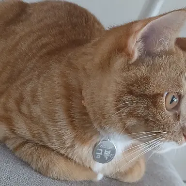 Profile image of 싸우는데 아픈 유저