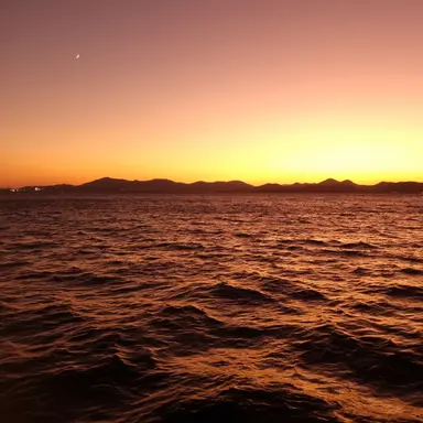 Profile image of 설윤아