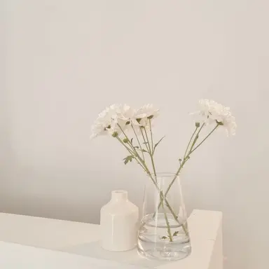 Profile image of 도희