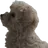 일찐 이뽀리