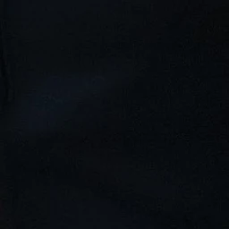 유지민