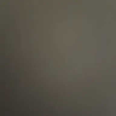 Profile image of 늑대