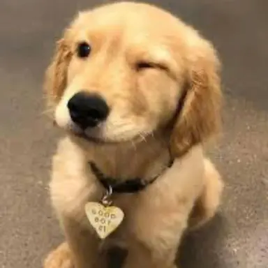 Profile image of 백지헌