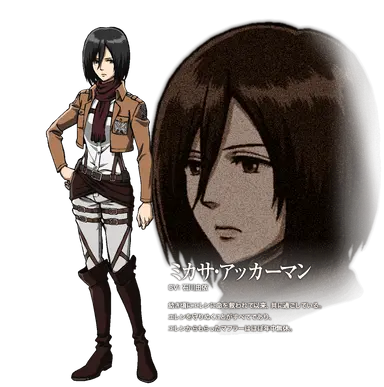 Profile image of ミカサ