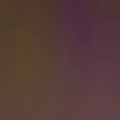 Profile image of 썬더 플라이