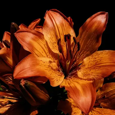 Profile image of 박영환