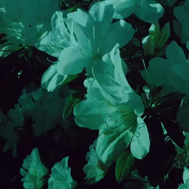 Profile image of 정형준