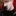 이찬휘