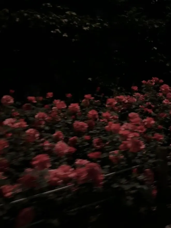 JustPan9116의 鈍感なあなたにはわからない