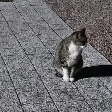 Profile image of 주유소