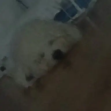 Profile image of 남경사