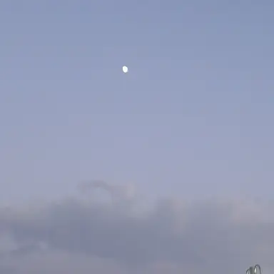 Profile image of 림버스 컴퍼니