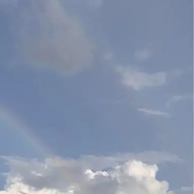 Profile image of 파이브