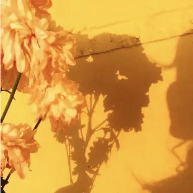 Profile image of 쪼만