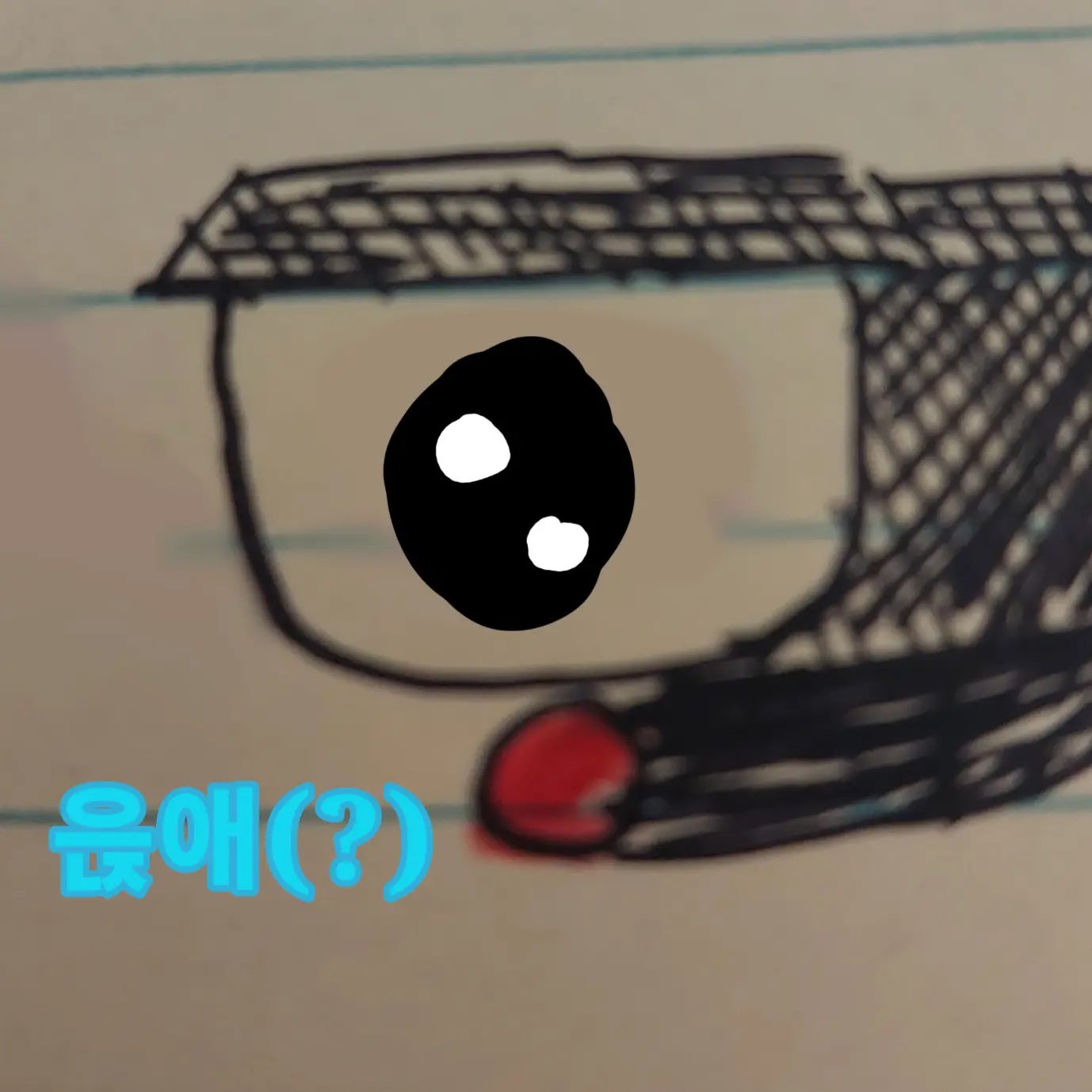 o1e의 읁애 플런저(?)