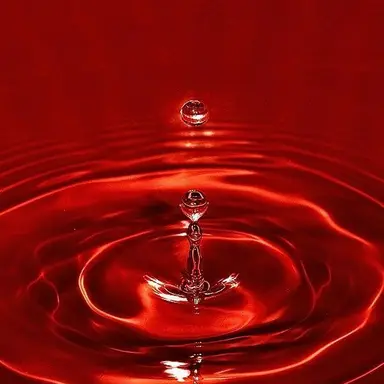 Profile image of 서 라더