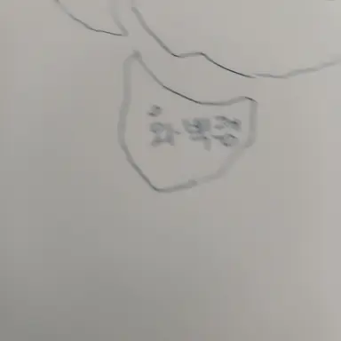 Profile image of 화 백 령