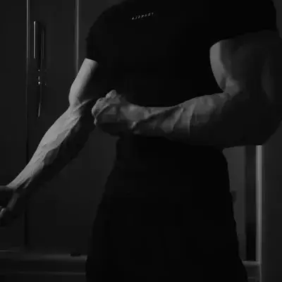 WoodenTapir7813의 Julian - Argument