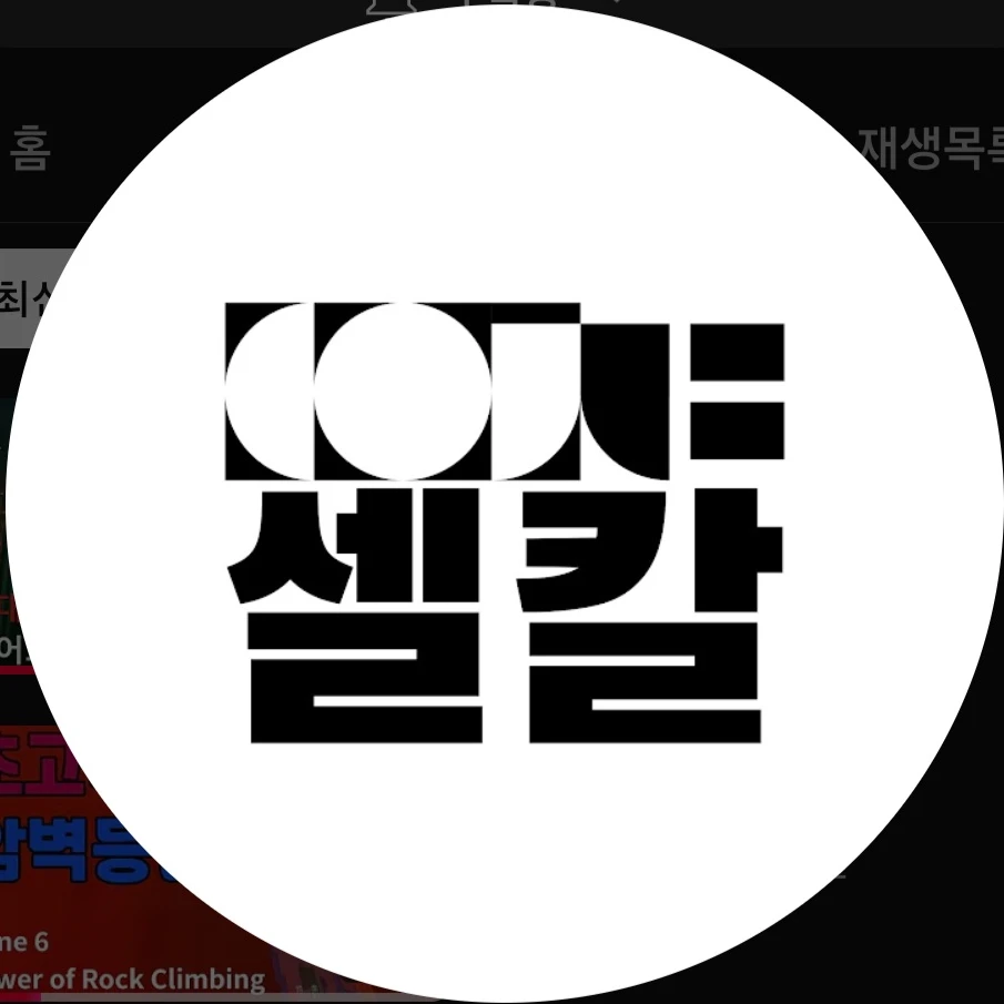 셀칼