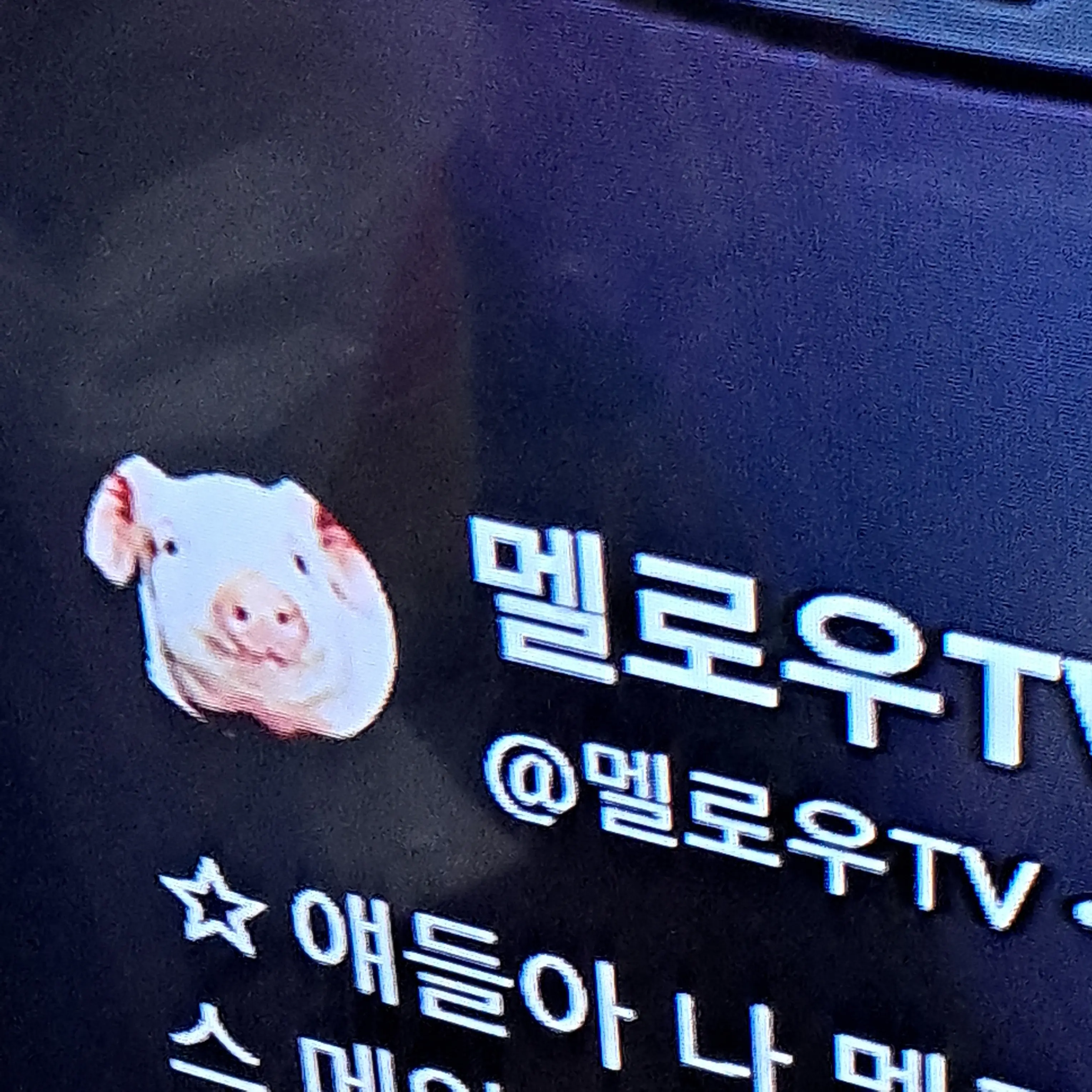 AfraidMeter2583의 팀 나빠