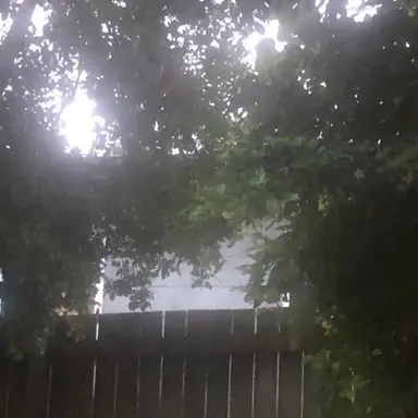 Profile image of 오시온