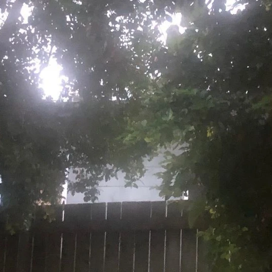 오시온